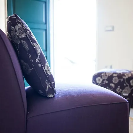 Calathea 贝特纳斯科